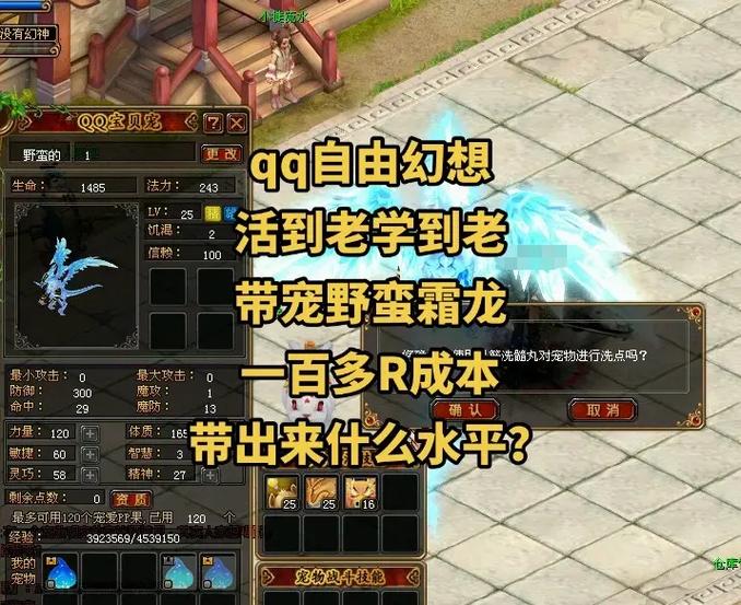 qq自由幻想宠物技能_qq自由幻想宠物加持什么意思_qq自由幻想宠物技能大全