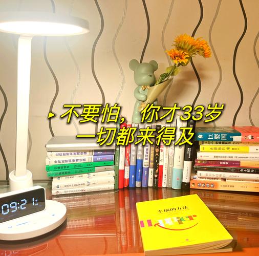 挑战33_挑战不可能_挑战的意思
