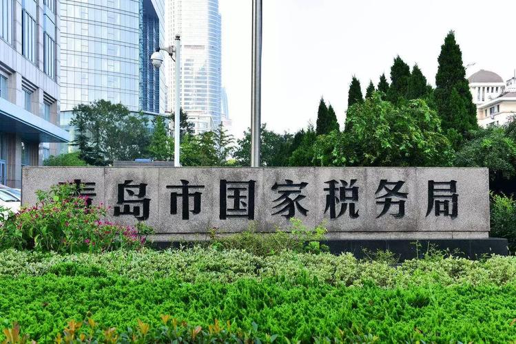 青岛国税局税税通_青岛国税局官网_青岛国税税税通app