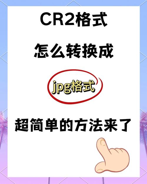 佳能CR2格式转换难题待解？这些方法你不能错过