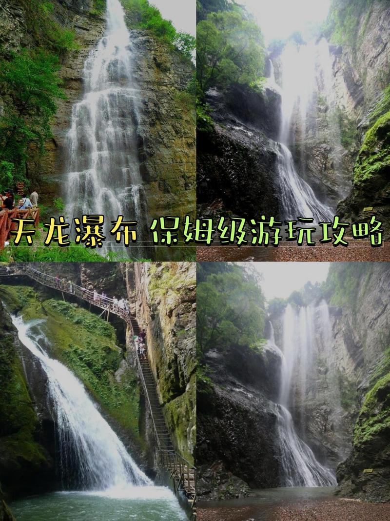 重生天龙至尊_天龙八部魅力总榜怎么加的_魅力天龙