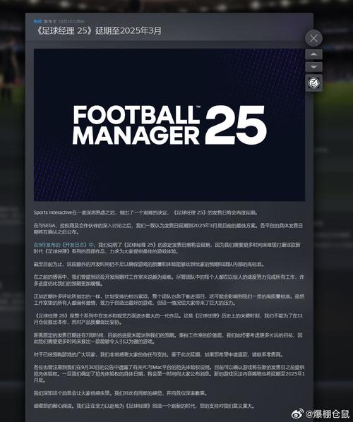 汉化足球经理_足球经理2010汉化_十八汉化足球经理2019