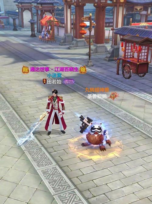 天龙八部珍兽幻化丹_天龙八部珍兽幻玉流程_天龙八部幻化丹多少元宝