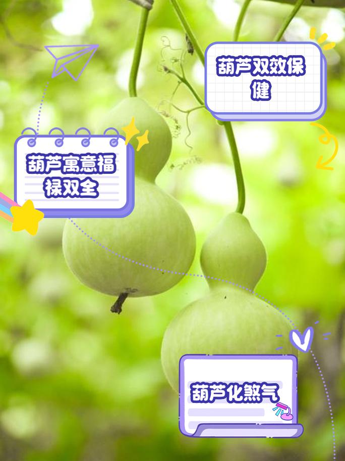 宣花葫芦怎么捕捉宠物_宣花葫芦如何合成_宣花葫芦怎么用