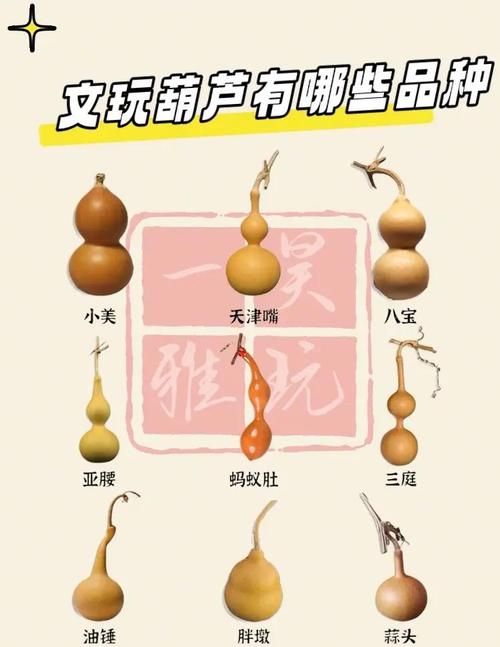 宣花葫芦如何合成_宣花葫芦怎么捕捉宠物_宣花葫芦怎么用