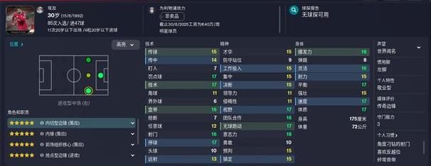 FM2013核武：强大修改工具，显著调整足球经理2013游戏流程