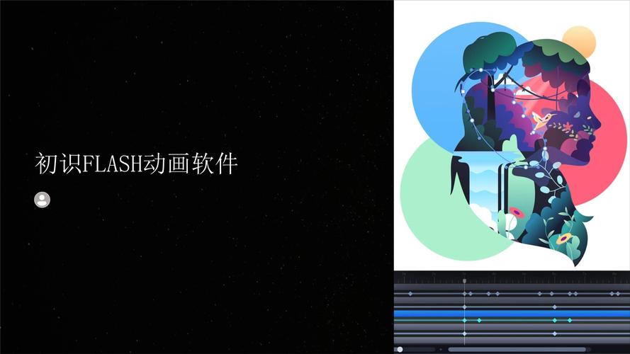 播放flash视频一直转圈_播放flash动画有哪些方法_flash播放