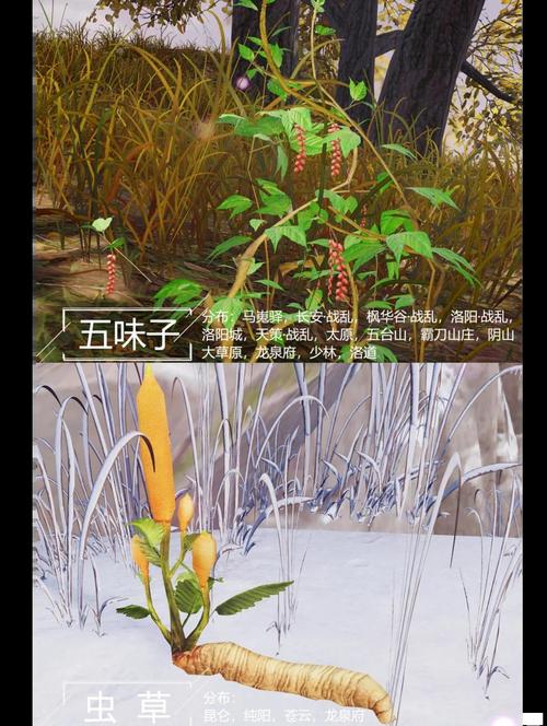 剑网诗词与药材_剑网3 诗词与药材_剑网三药材