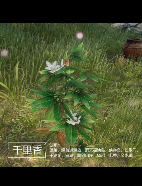 剑网诗词与药材_剑网三药材_剑网3 诗词与药材