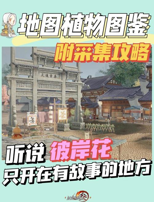 剑网三药材_剑网3 诗词与药材_剑网诗词与药材