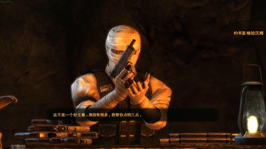辐射3新维加斯秘籍_辐射维加斯perk_辐射维加斯开局加点