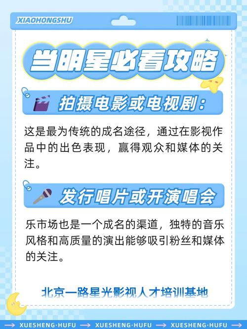 揭秘明星成长之路，找准领域、兼顾多方因素很关键
