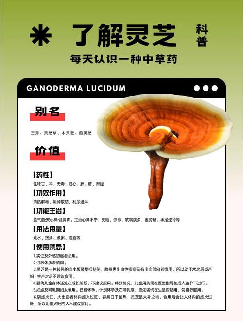 灵芝味苦吗正常吗_灵芝味道怎么样_百味灵芝