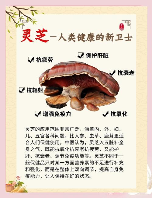 灵芝味苦吗正常吗_灵芝味道怎么样_百味灵芝