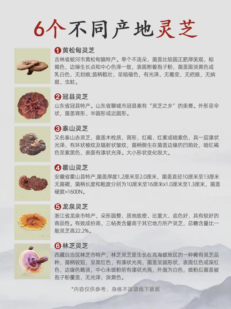 灵芝味苦吗正常吗_百味灵芝_灵芝味道怎么样