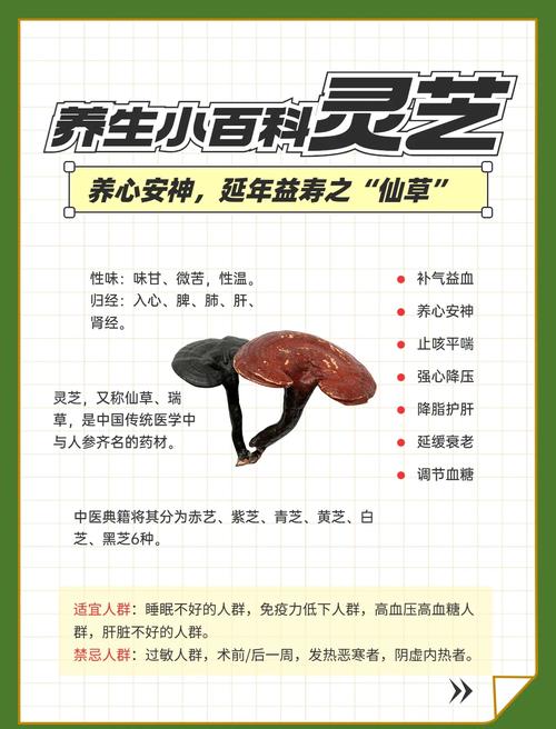 灵芝味苦吗正常吗_灵芝味道怎么样_百味灵芝