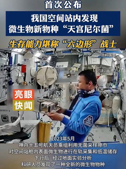cf生化空间站中间跳平台_生化空间站背景故事_生化空间站