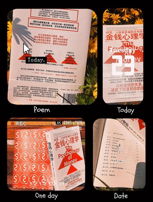 模拟人生野心手机版_模拟人生3野心秘籍_秘籍模拟人生