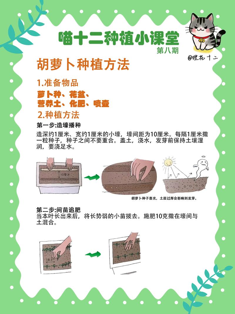 QQ农场快速升级秘籍！详解白萝卜种植优势与技巧