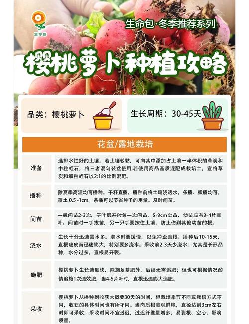 qq农场种什么升级快_qq农场种什么升级_qq农场种子经验排名
