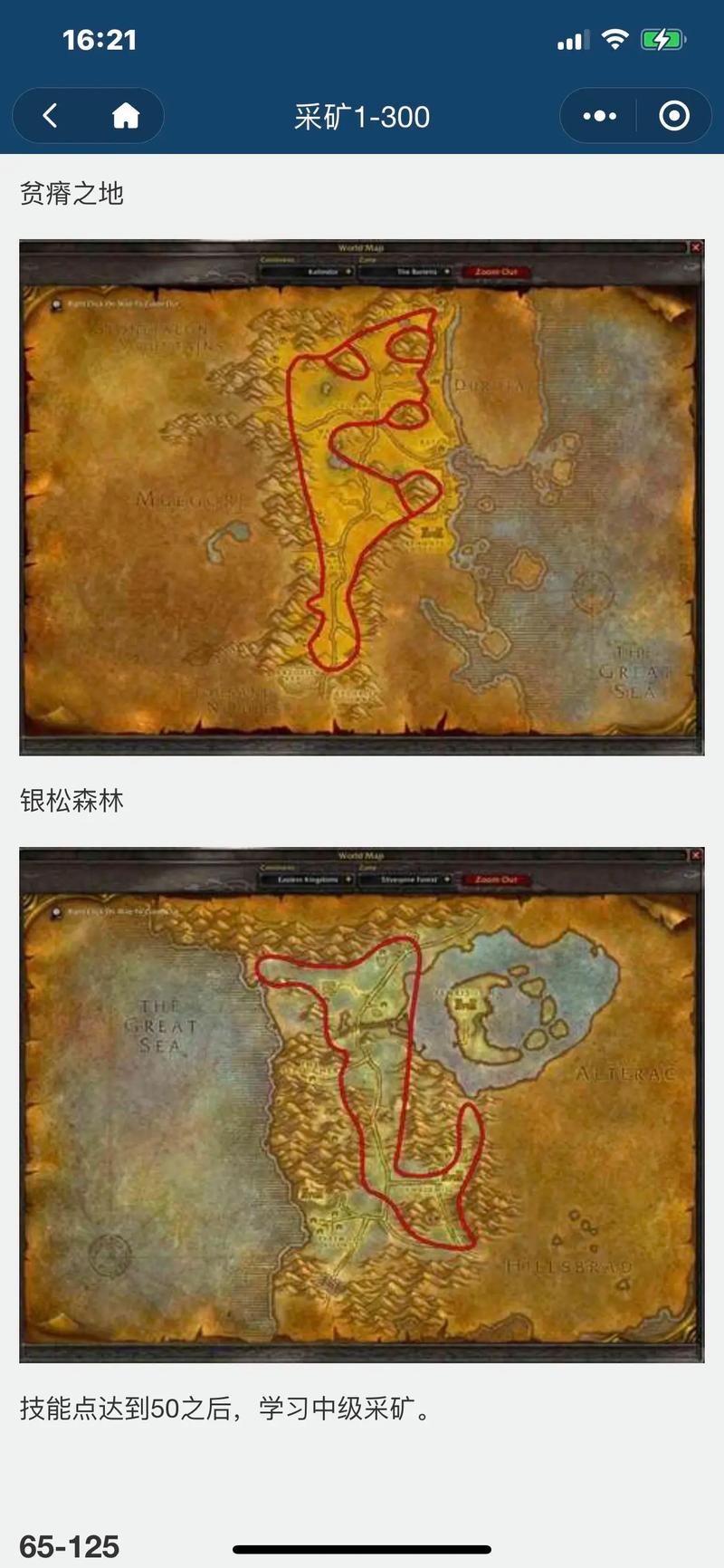 魔兽世界炼金术攻略：好玩又实用，前期升级要点全解析