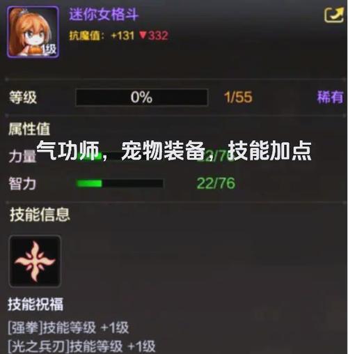 男气功师加点_男气功师刷图加点100级_2021男气功加点