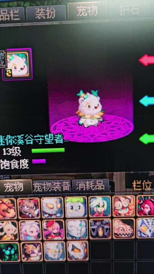 迷你宠物盲盒_迷你宠物星_dnf迷你宠物