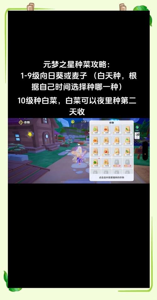 农场升级土地怎么升级_农场怎么升级快_农场升级游戏