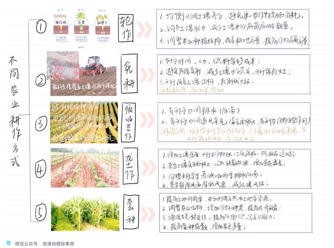 农场升级土地怎么升级_农场升级游戏_农场怎么升级快