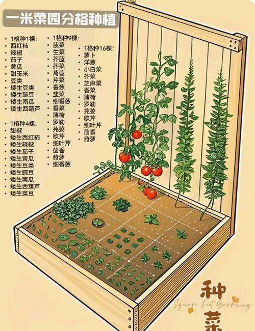 农场升级游戏_农场怎么升级快_农场升级土地怎么升级