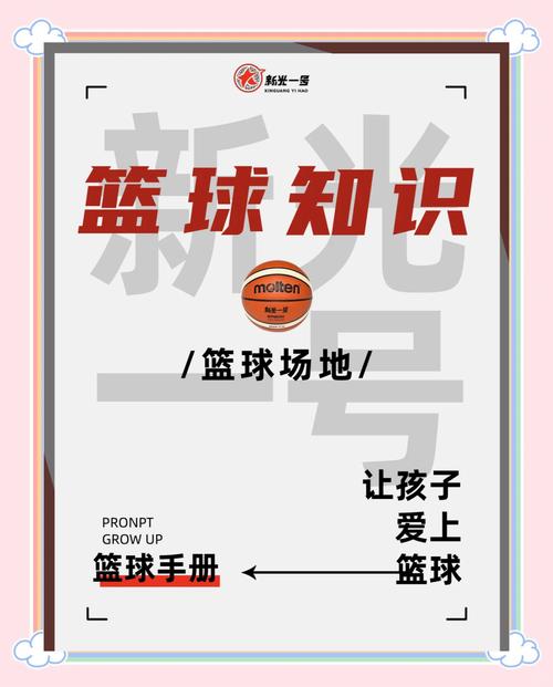 街头篮球玩不了_街头篮球玩家人数_街头篮球玩法