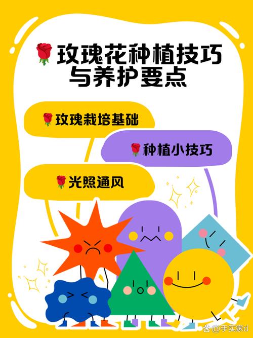 玫瑰小镇玫瑰图鉴_玫瑰小镇登陆_玫瑰小镇登录