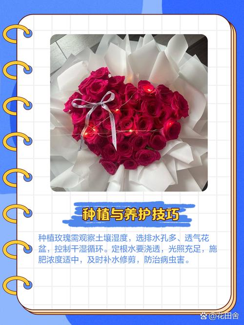 玫瑰小镇登录_玫瑰小镇玫瑰图鉴_玫瑰小镇登陆