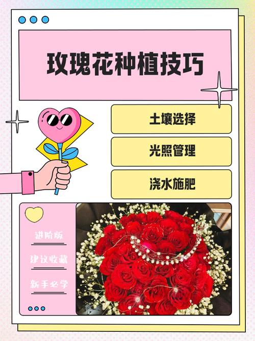 玫瑰小镇玫瑰图鉴_玫瑰小镇登陆_玫瑰小镇登录