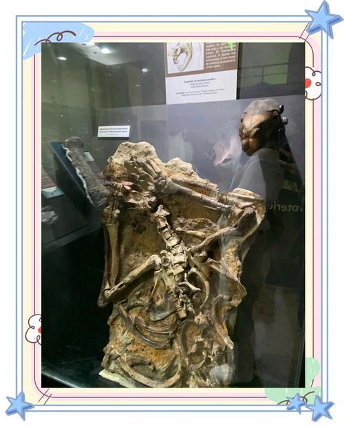 远古时期化石幼兽：留存史前生命秘密，见证生物进化历程