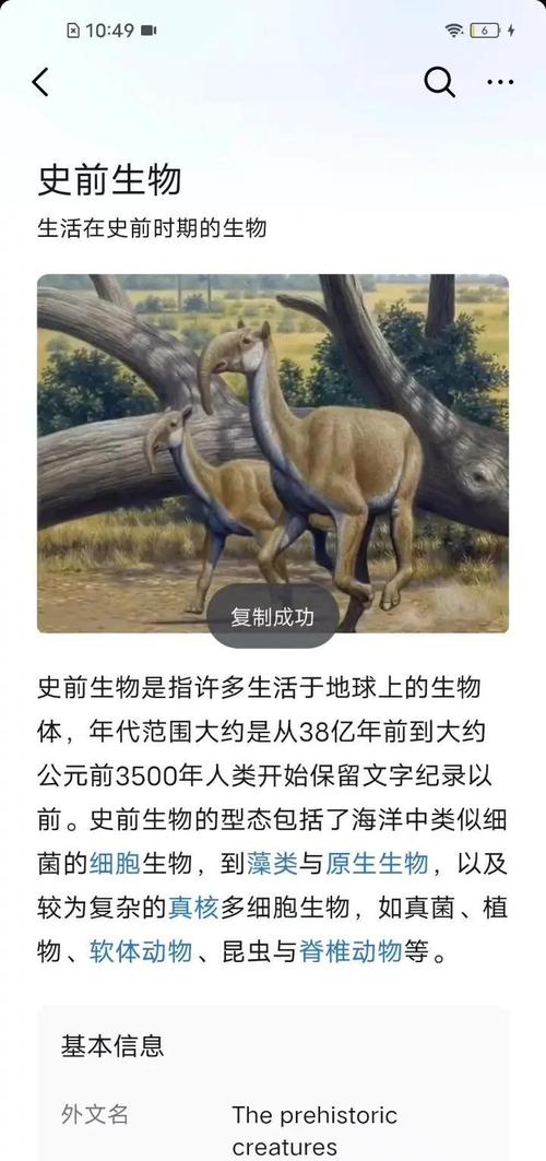 化石龙兽_化石宠物_化石幼兽
