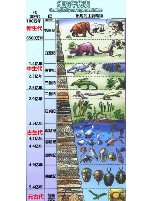 化石宠物_化石幼兽_化石龙兽