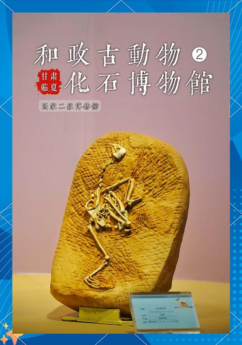 化石幼兽_化石龙兽_化石宠物
