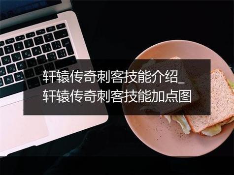 轩辕传奇刺客和什么想辅助_刺客加点轩辕传奇攻略_轩辕传奇刺客加点