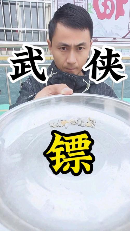 九阴真经暗器_九阴真经暗器套路排名_九阴绝学暗器丹怎么获得