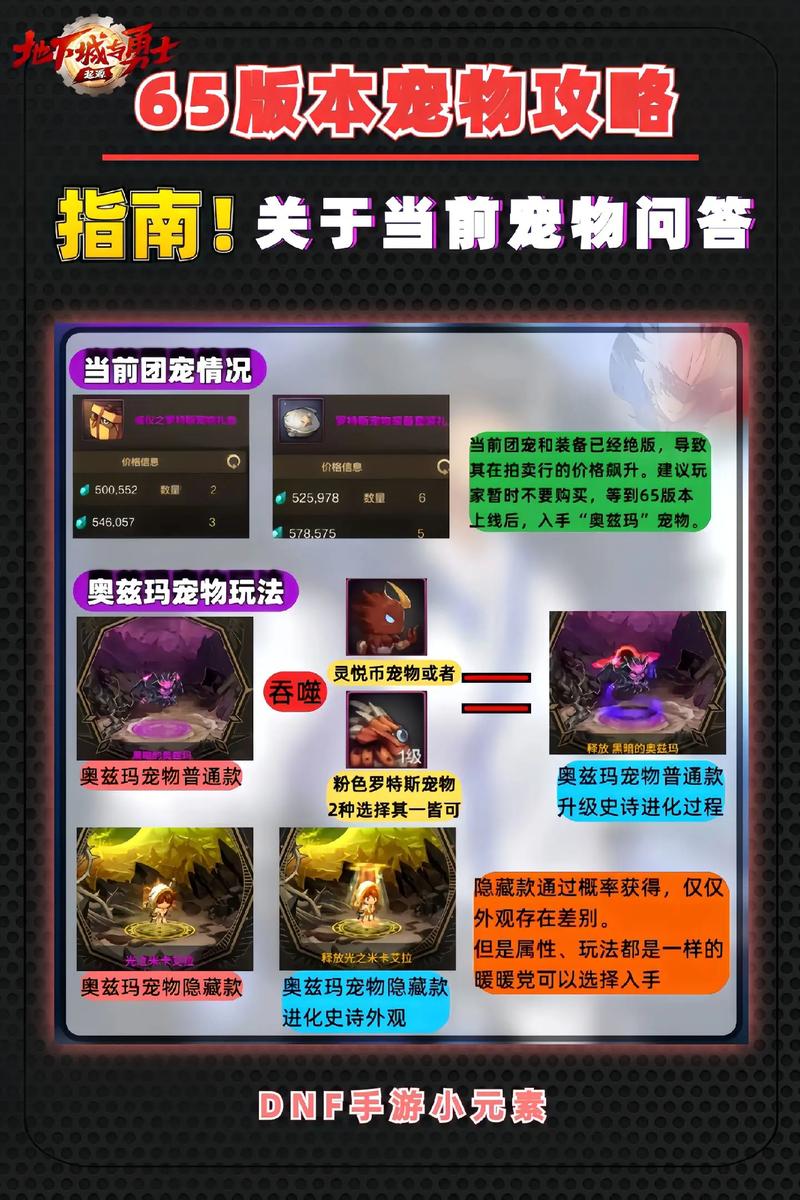 深入剖析DNFPet新宠物：稀有特点与基础属性提升助力游戏