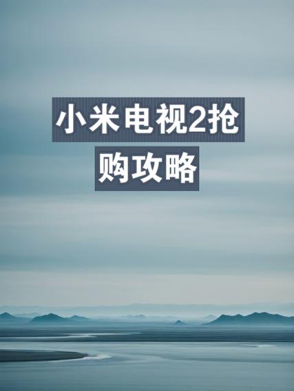 抢购小米手机_小米2抢购_抢购小米汽车怎么抢