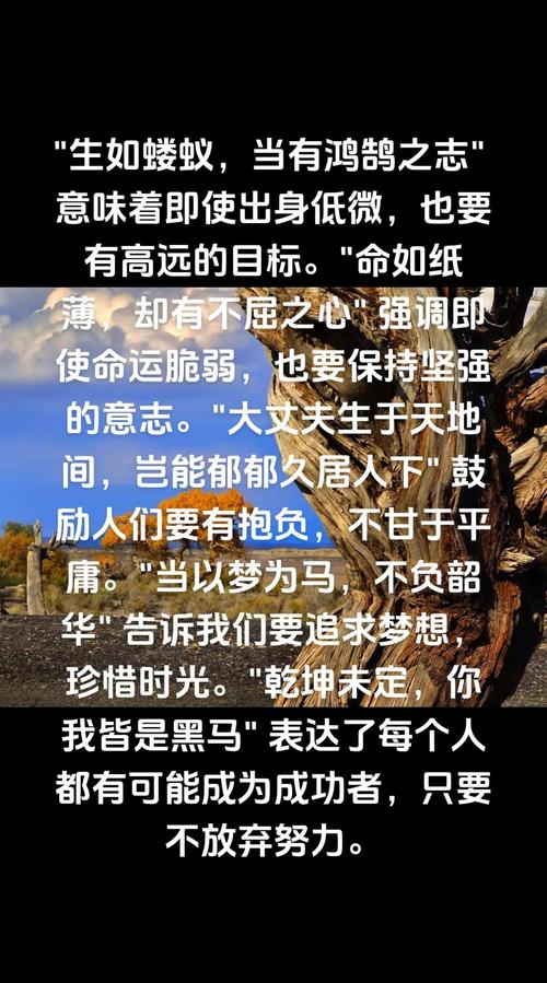 ifighter2高清版_ifighter2无限金币_ifighter