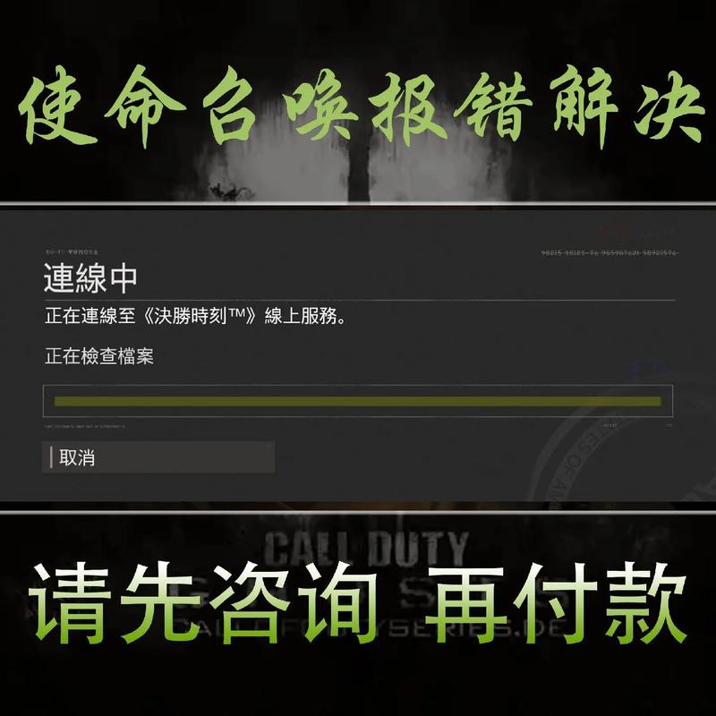 使命召唤错误代码DIVER_使命召唤8 错误_使命召唤错误代码2029