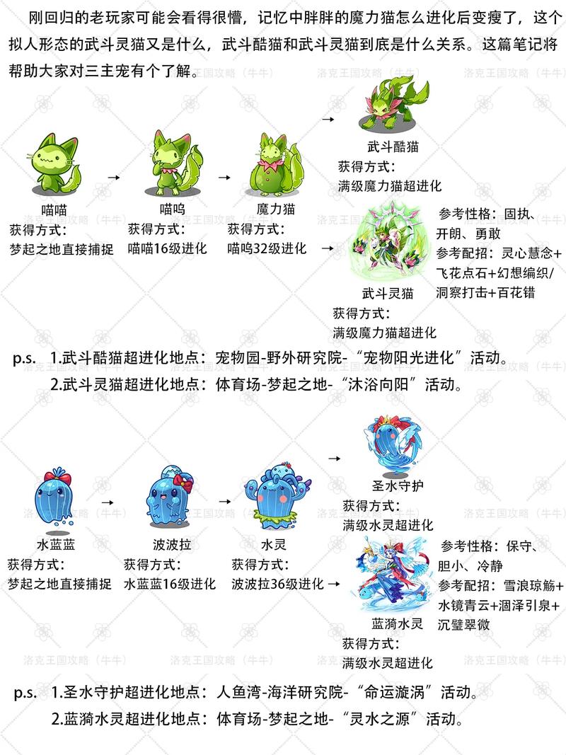洛克王国萌系王者_洛克王国萌之王者_洛克王国2021萌之王者