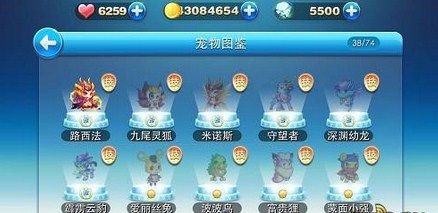 宠物酷跑2_天天酷跑哪个宠物最好_宠物店跑酷