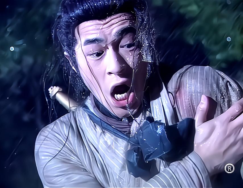 神雕侠侣之杨过传奇_神雕之风流浪子杨过_神雕侠侣杨过出风头