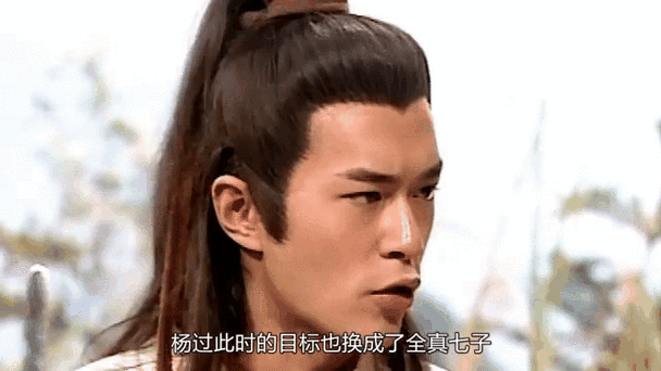 神雕之风流浪子杨过_神雕侠侣之杨过传奇_神雕侠侣杨过出风头