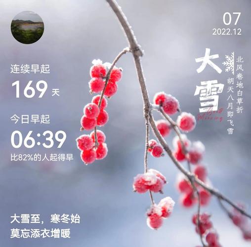 寒冬怒意尽显：狂风大雪肆虐下独特的冬之美与生机探寻
