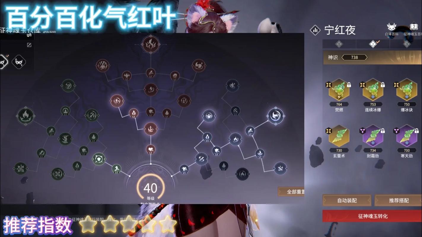 征途2道士加点_道士加点征途攻略_征途2道士属性点怎么加